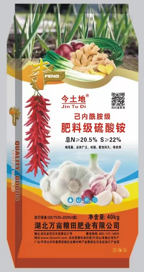 ���ϼ������